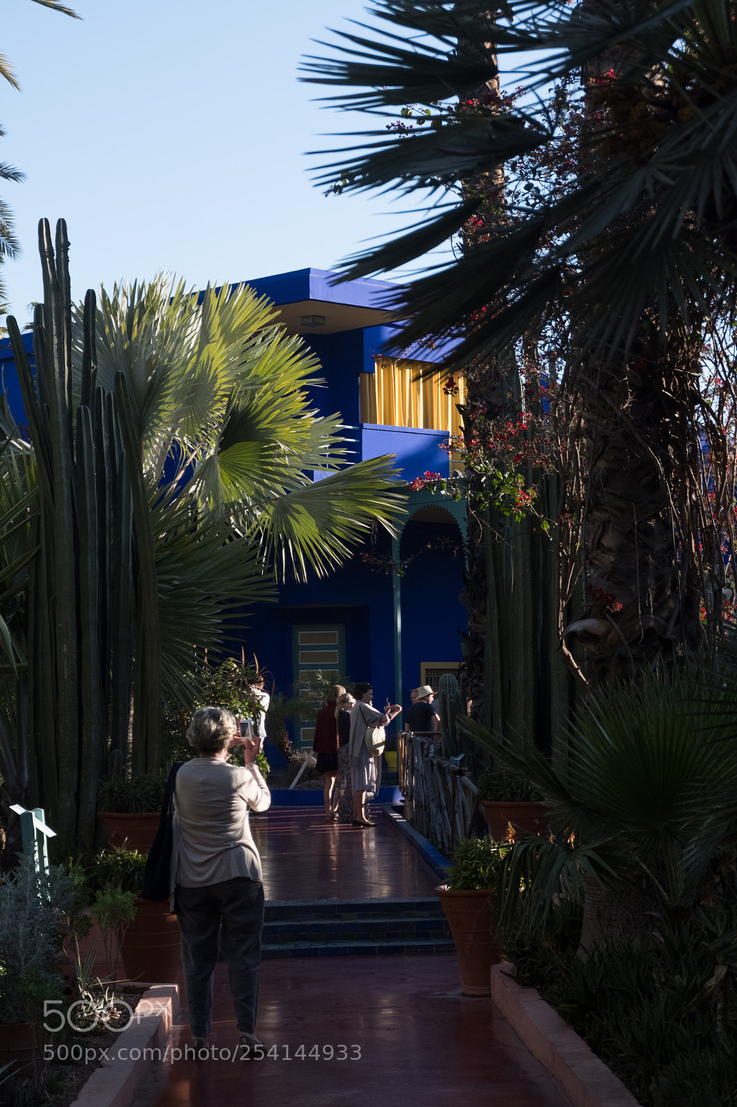 Fujifilm X-T20 sample photo. Marrakech - jardin majorelle photography