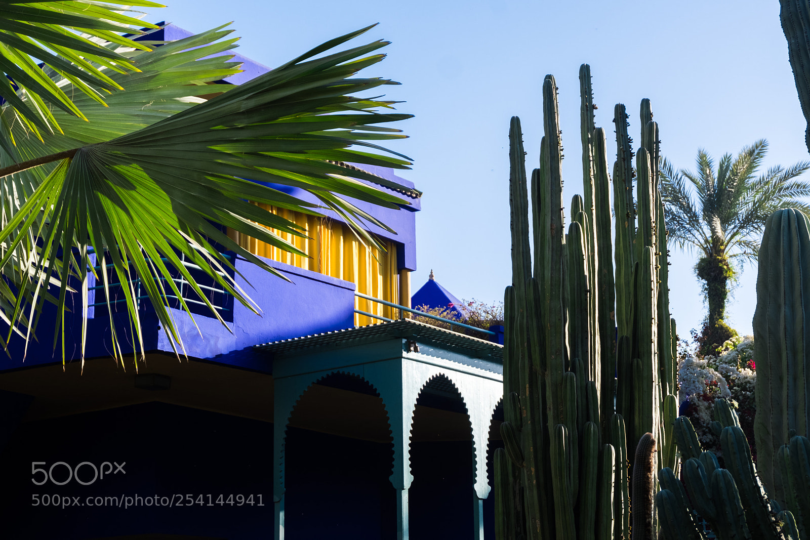 Fujifilm X-T20 sample photo. Marrakech - jardin majorelle photography