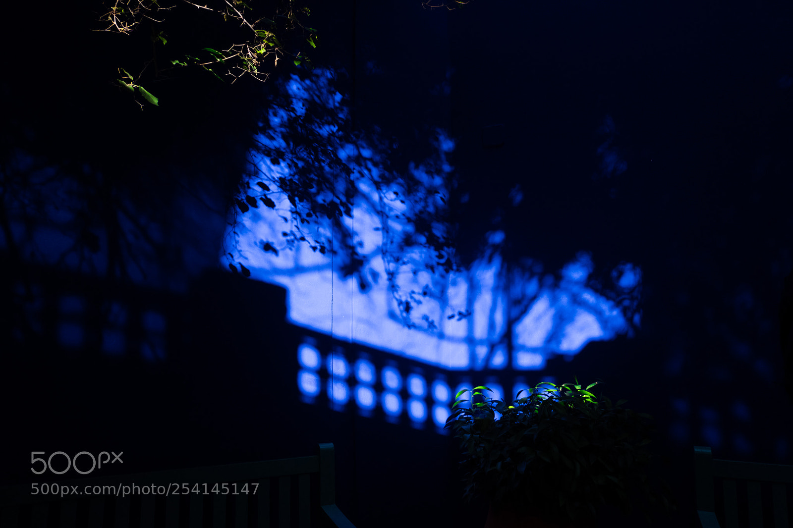 Fujifilm X-T20 sample photo. Marrakech - jardin majorelle photography