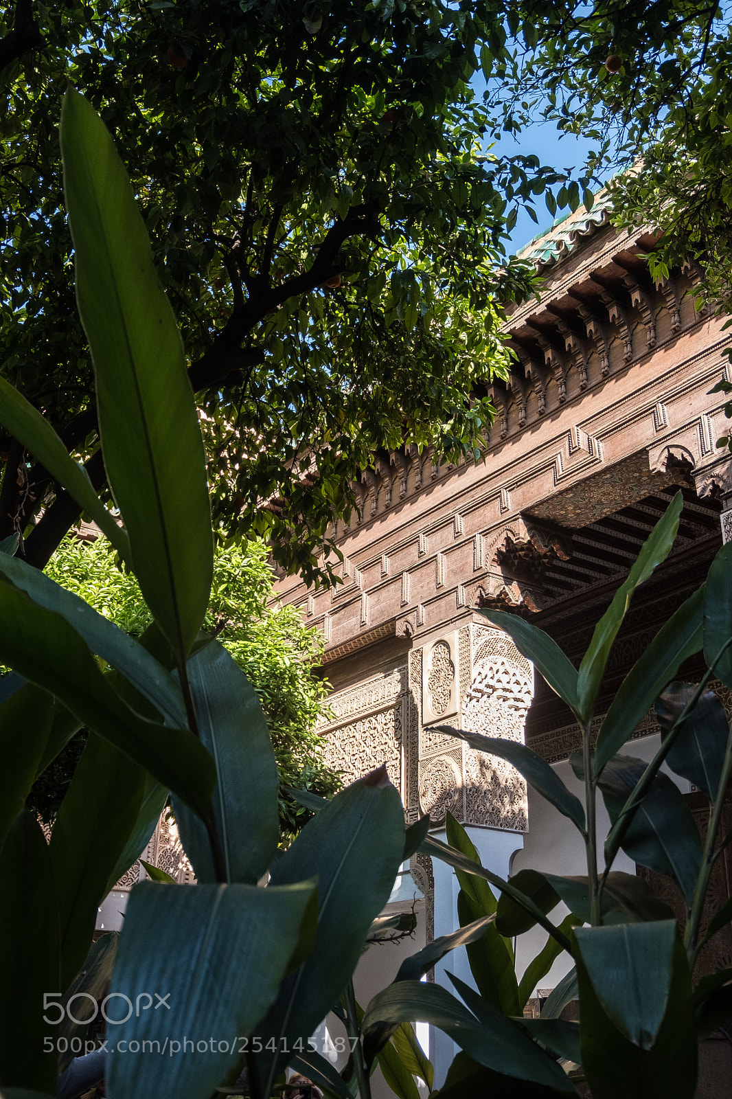 Fujifilm X-T20 sample photo. Marrakech - bahia palace photography