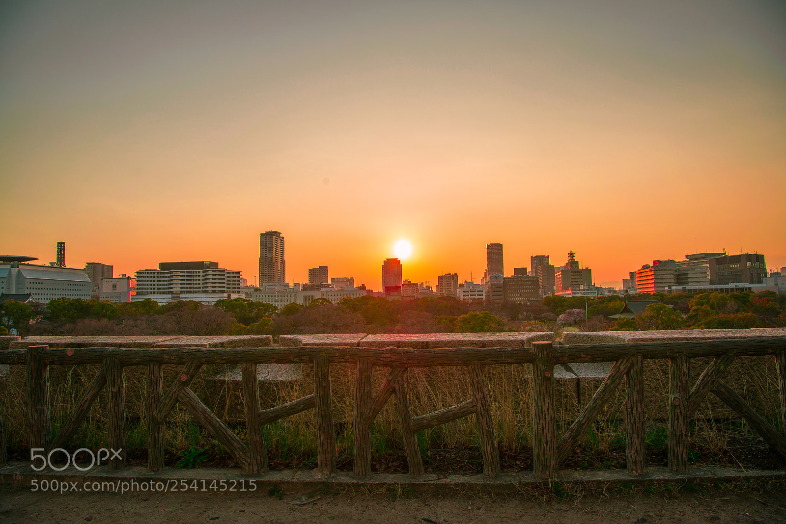 Nikon D800E sample photo. Osaka　sunset photography