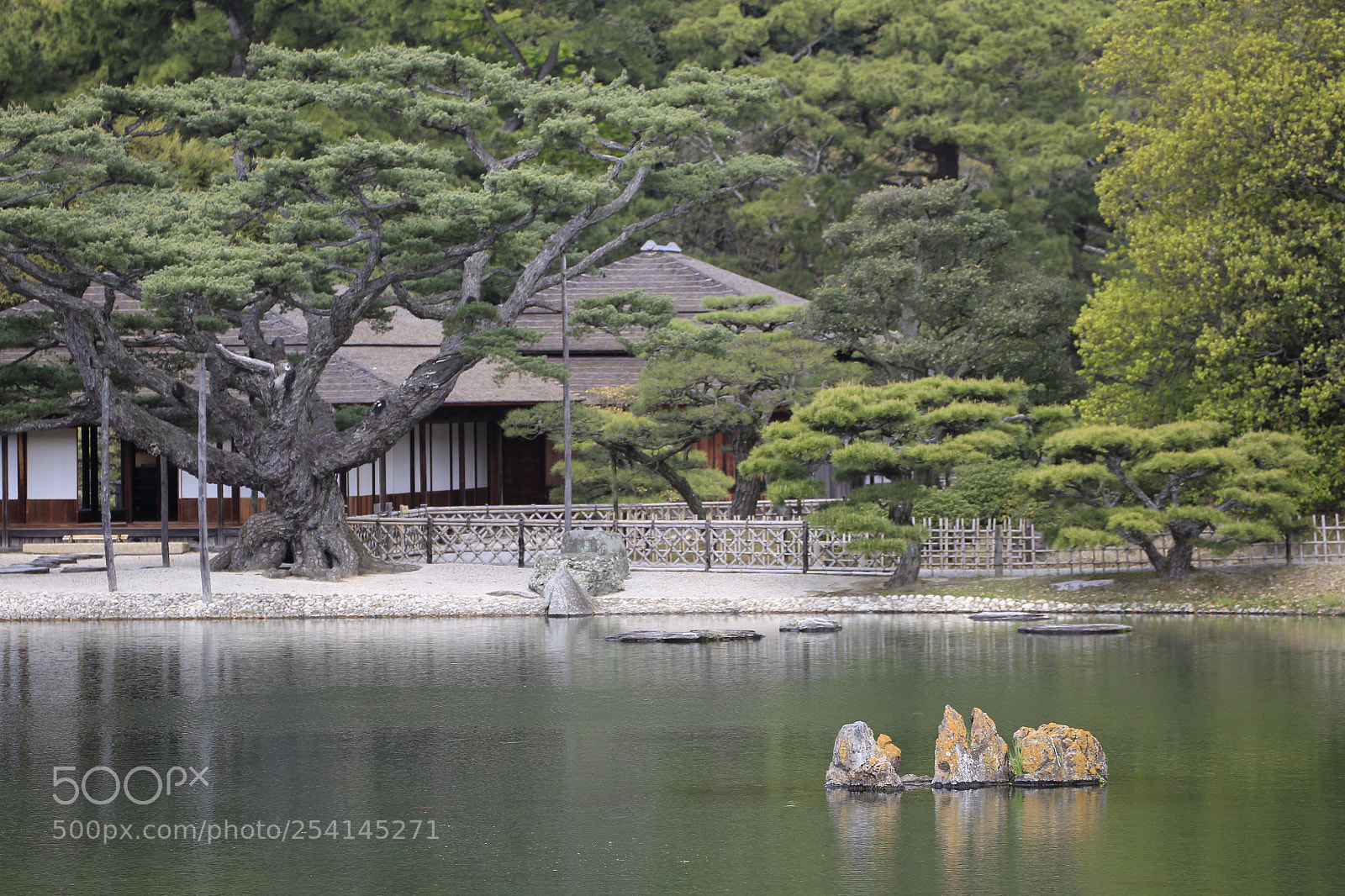 Canon EOS-1D Mark IV sample photo. Untitled photography