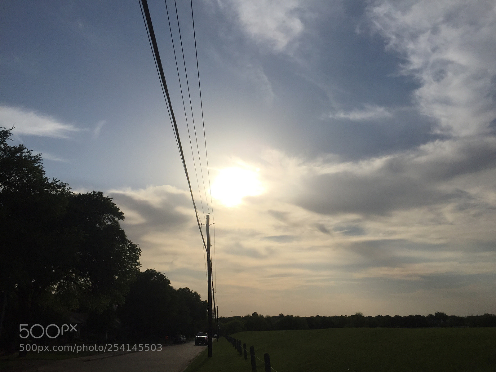 Apple iPhone 6 sample photo. Untitled photography