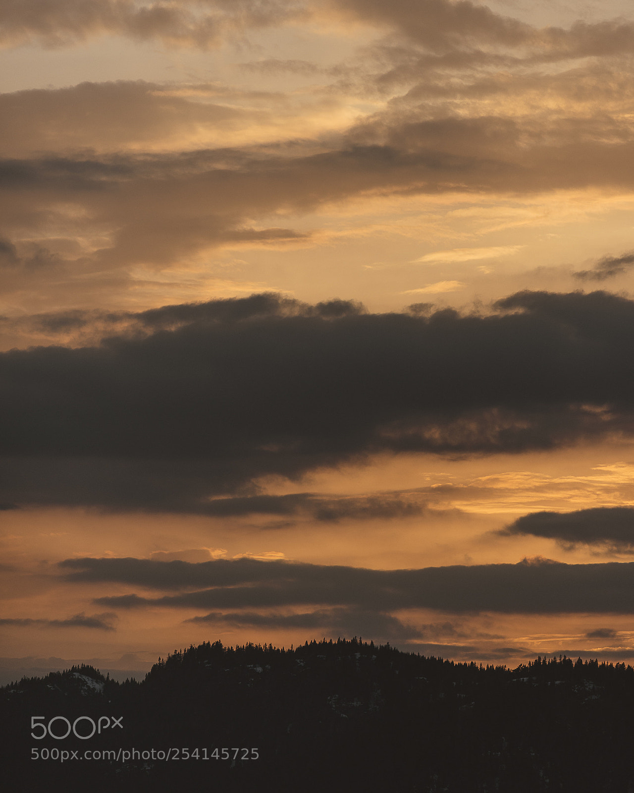 Nikon D600 sample photo. Sunset lier photography