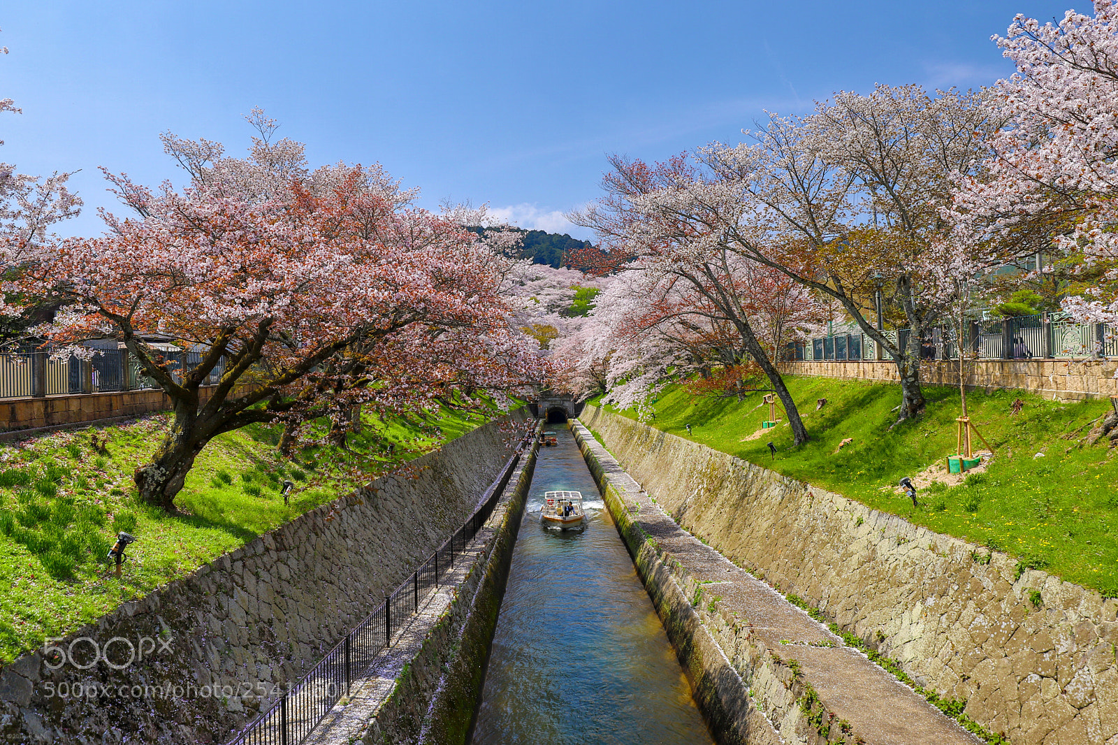 Canon EOS 6D Mark II sample photo. Spring waterway photography