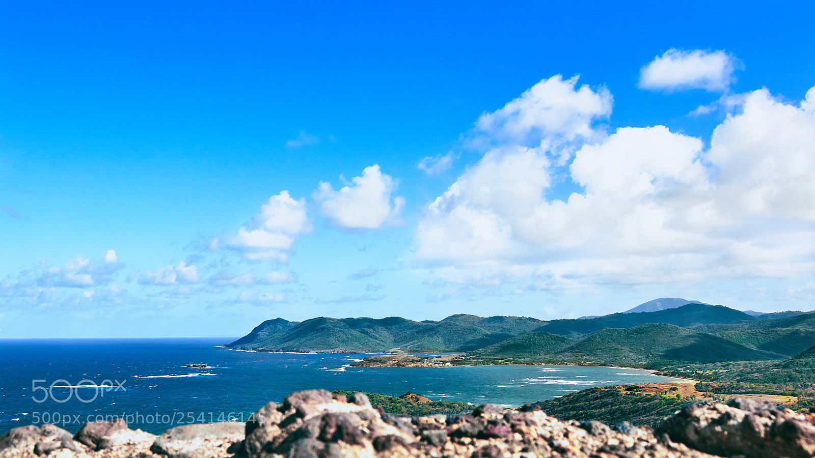 Canon EOS 70D sample photo. The view photography