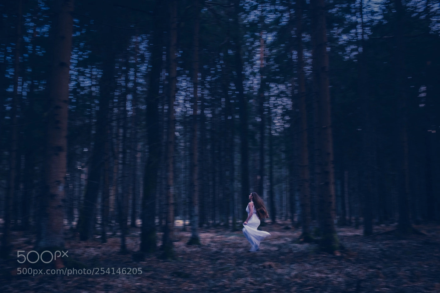 Fujifilm X100S sample photo. Fairy 7 photography