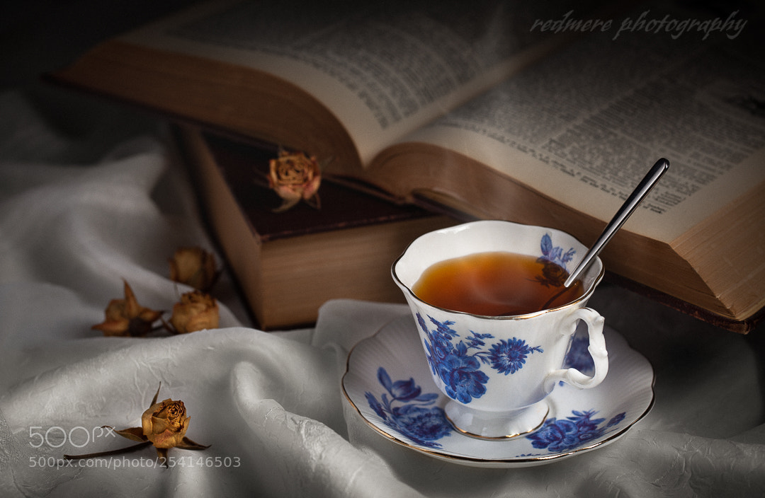 Canon EOS 5D Mark II sample photo. Bibliophile photography