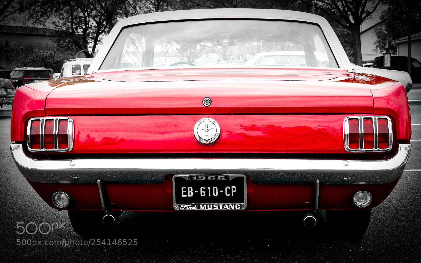 Olympus OM-D E-M5 II sample photo. Mustang 66; backside photography