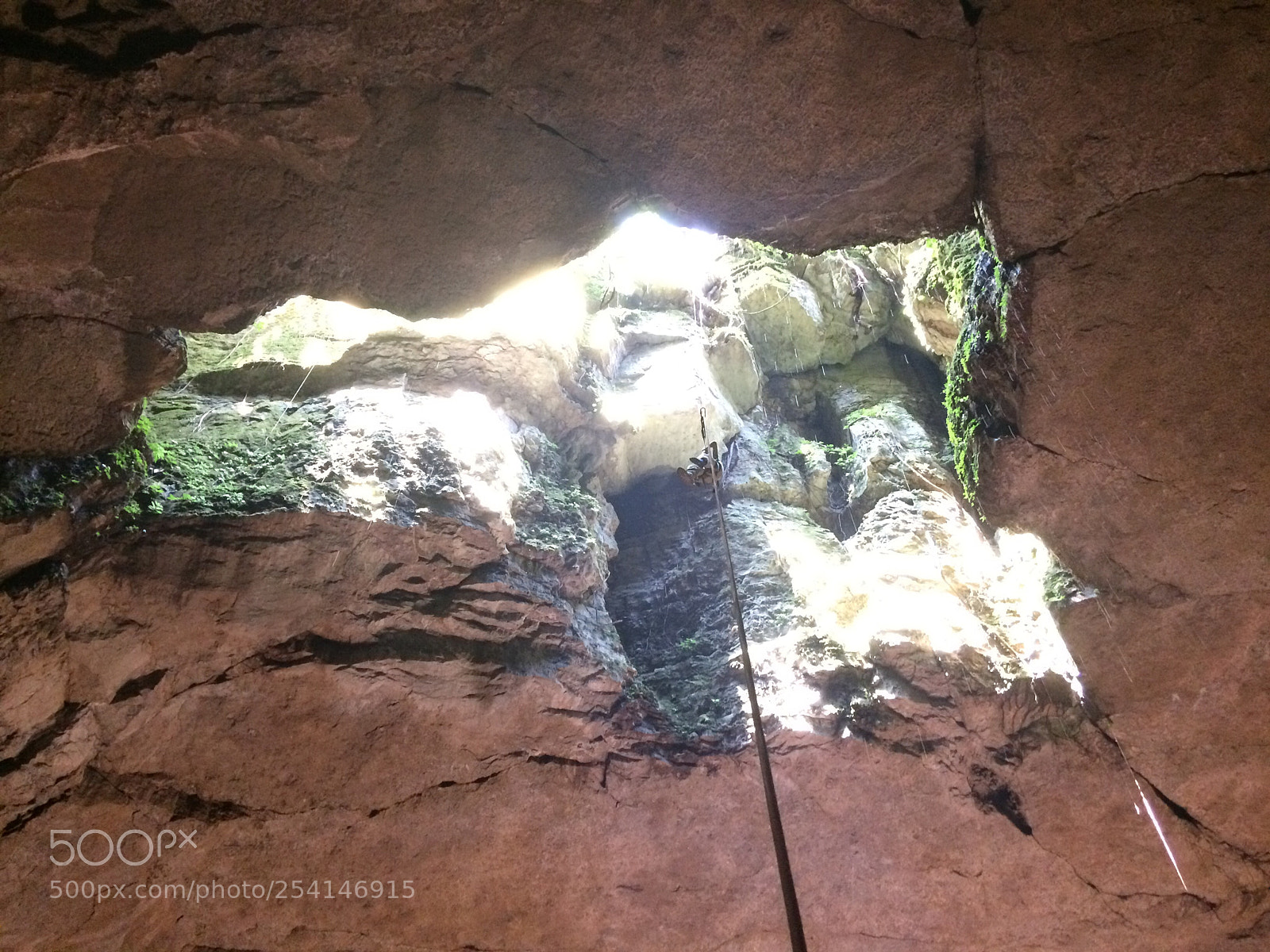 Apple iPhone 5s sample photo. Three owls   photography