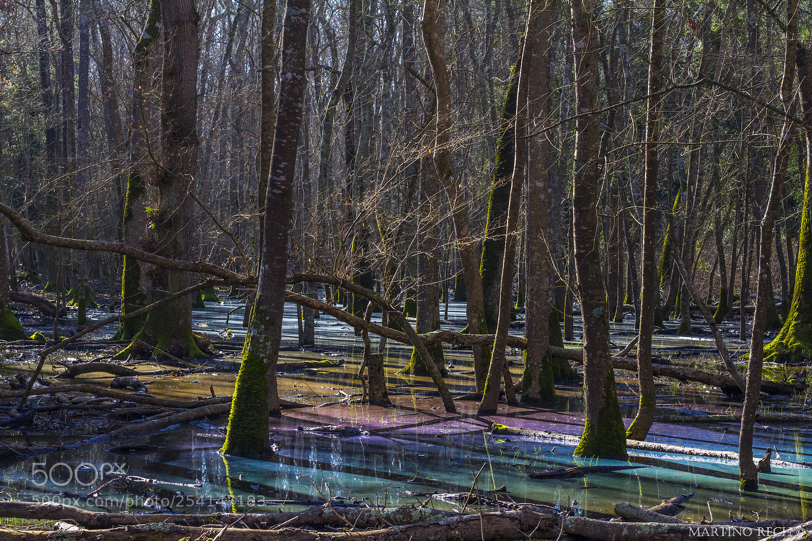 Canon EOS 7D sample photo. Natural wonders photography