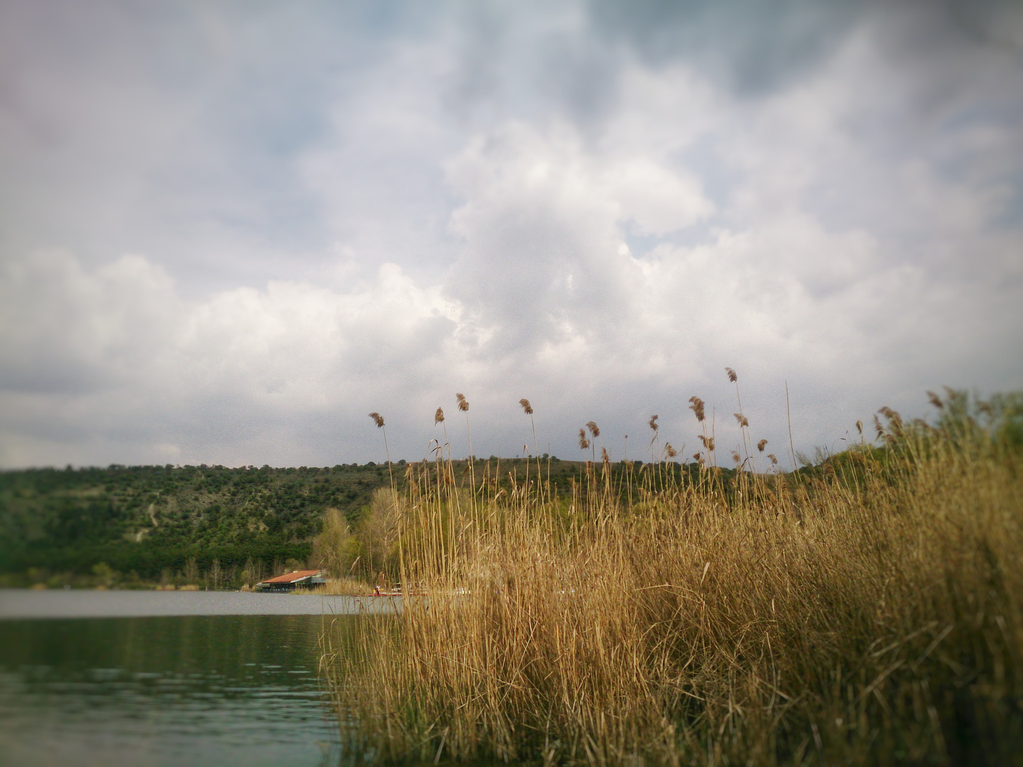 Sony Xperia Z sample photo