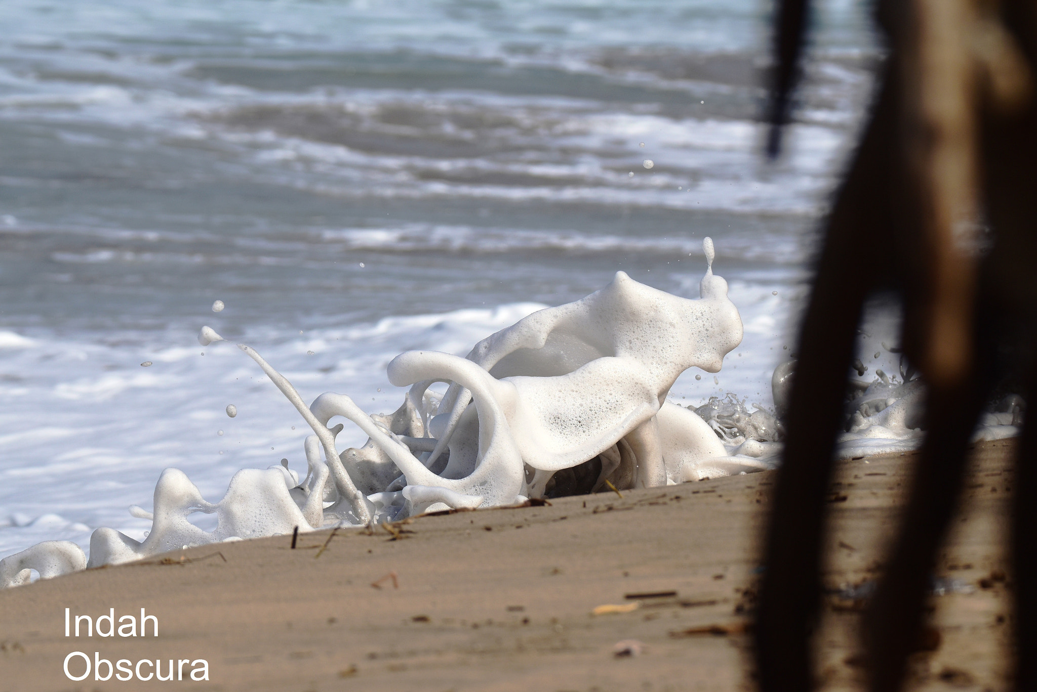 Nikon D5500 sample photo. Ioi the foam sea monster photography
