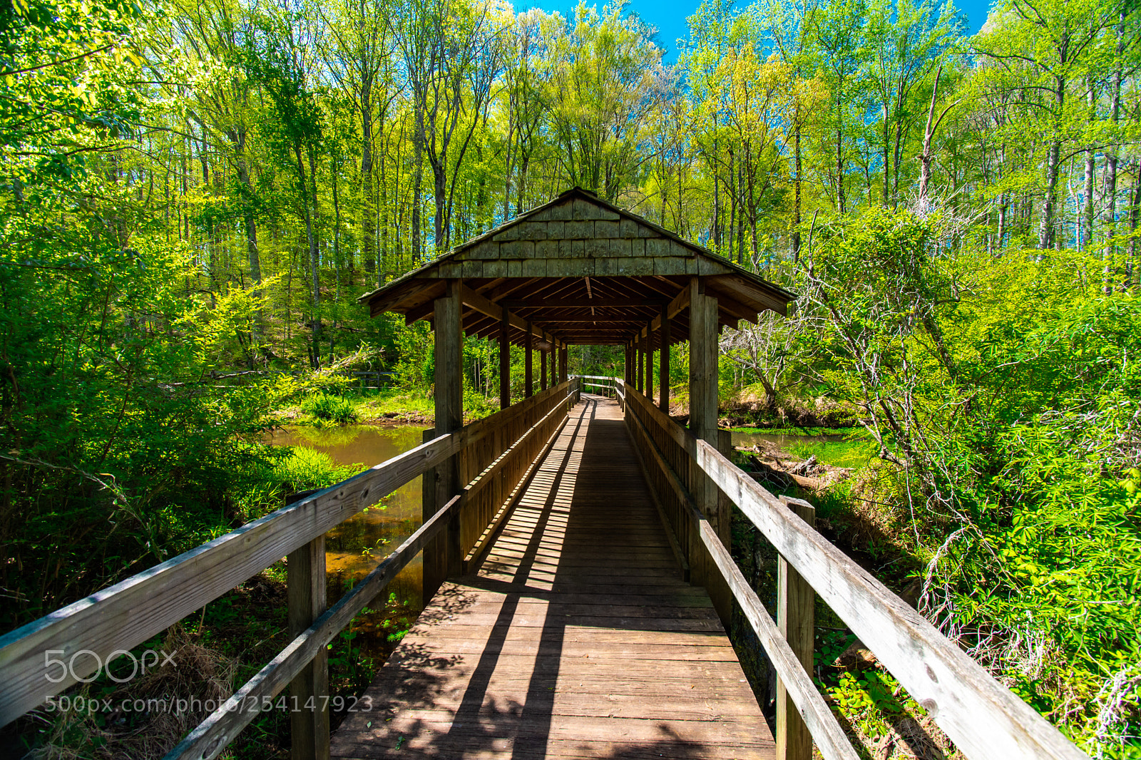 Nikon D7200 sample photo. Boardwalk photography