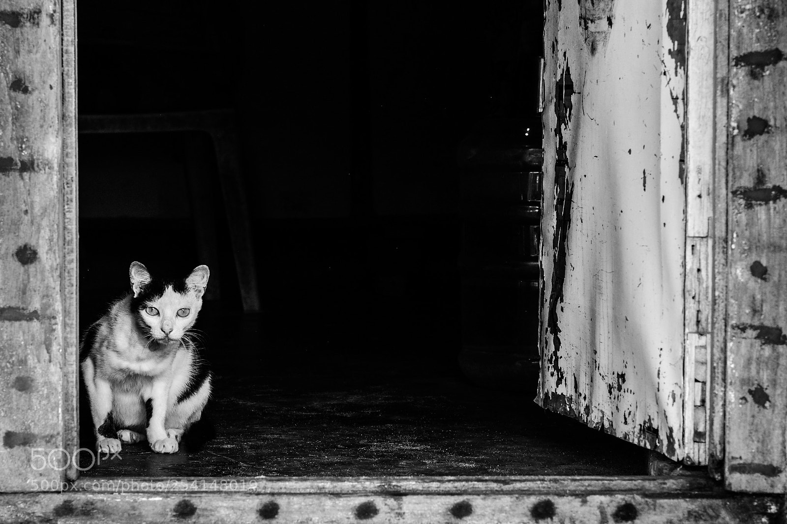 Fujifilm X-T20 sample photo. Waiting at the door photography