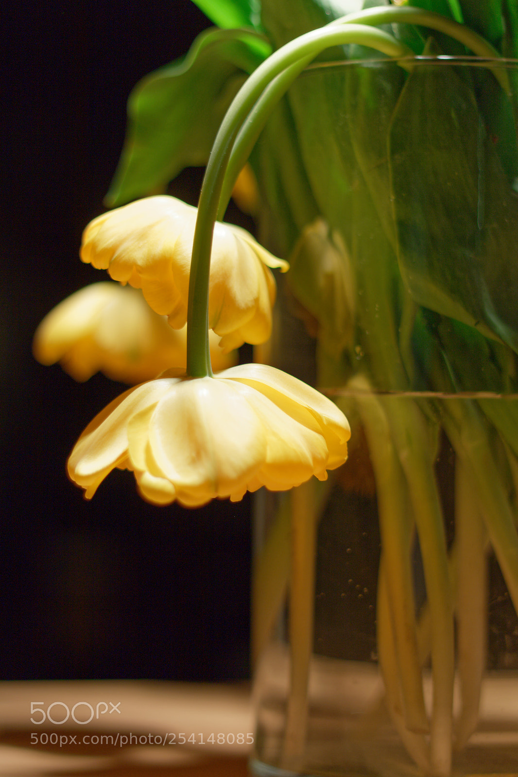 Canon EOS 750D (EOS Rebel T6i / EOS Kiss X8i) sample photo. End of life photography
