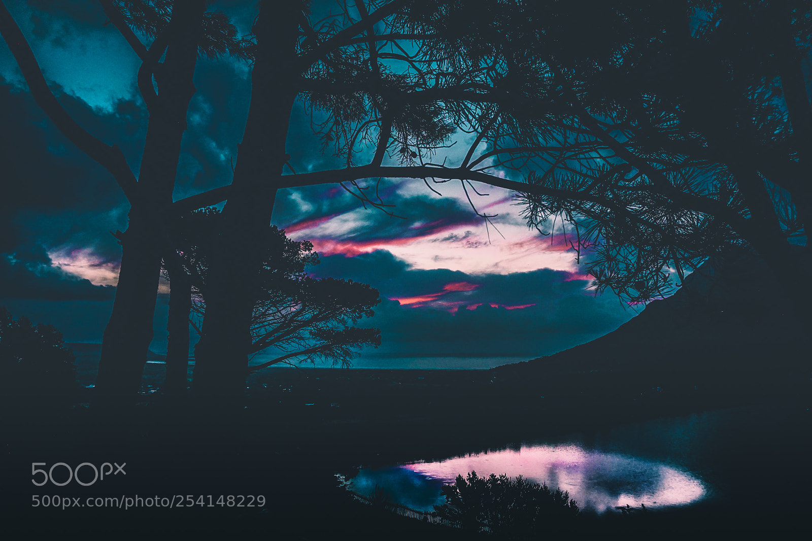 Sony a6000 sample photo. A kiss of night photography