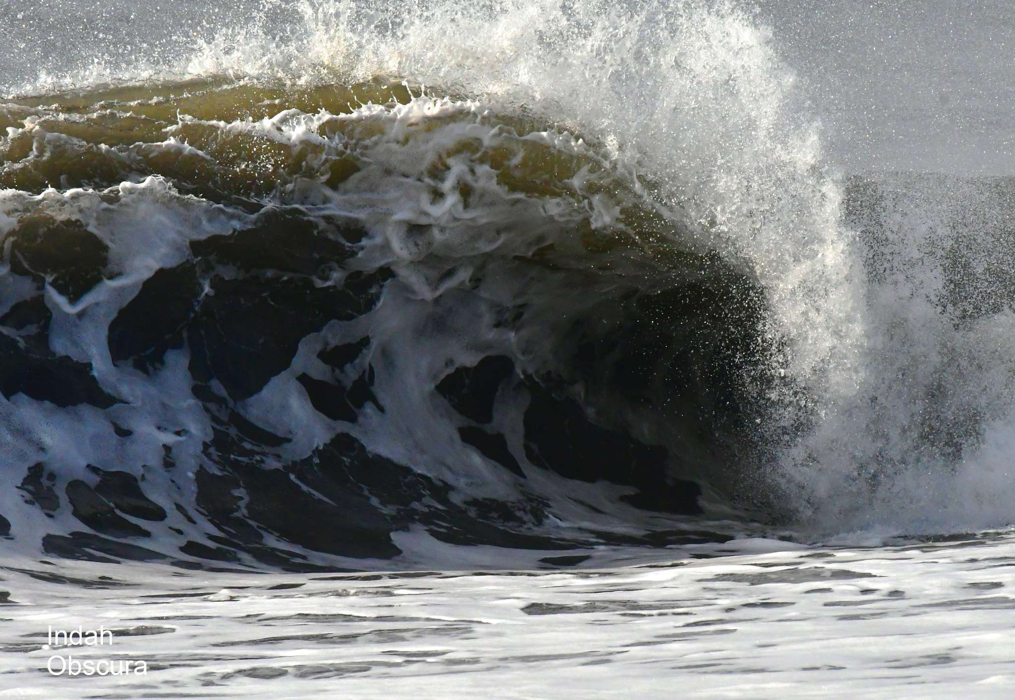 Nikon AF-S Nikkor 200-500mm F5.6E ED VR sample photo. Ioi deadlier hollows photography