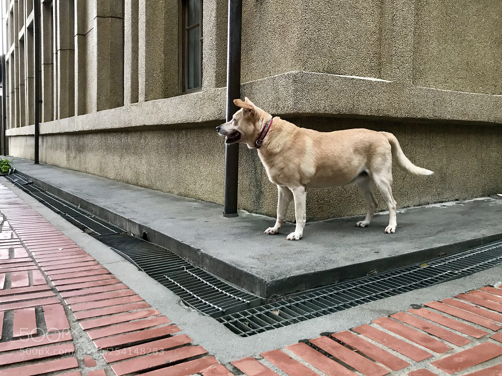 Apple iPhone 7 sample photo. Untitled photography