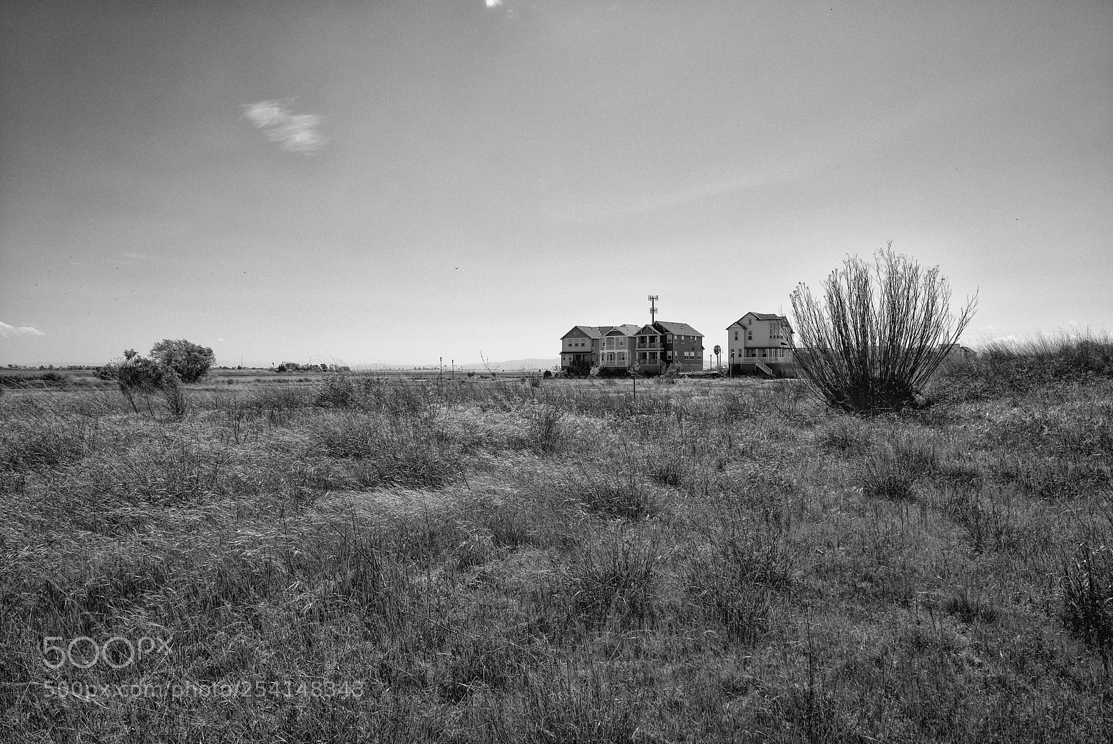 Leica M (Typ 240) sample photo. Isleton 32 photography
