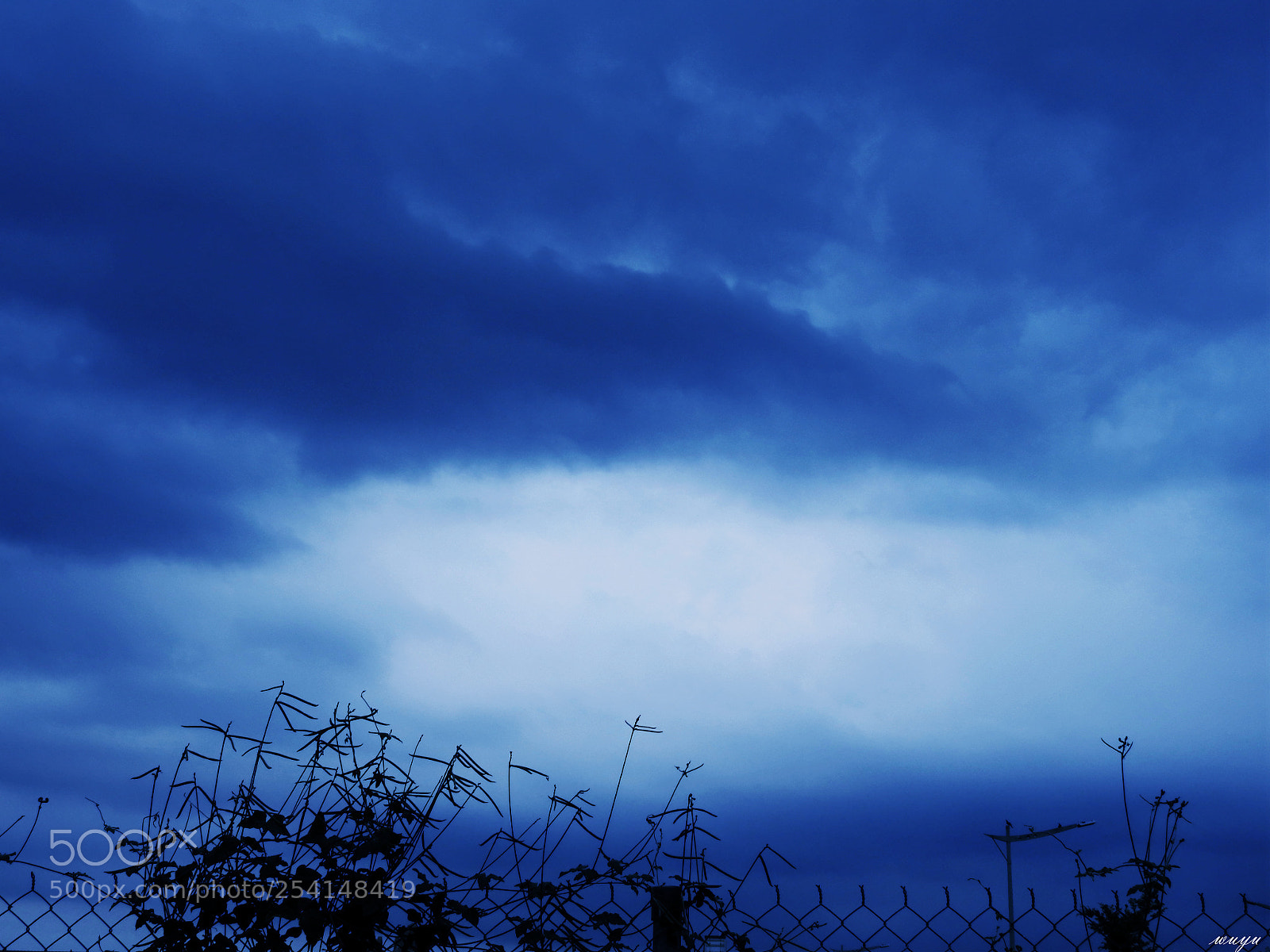 Nikon Coolpix P900 sample photo. 20180418 photography