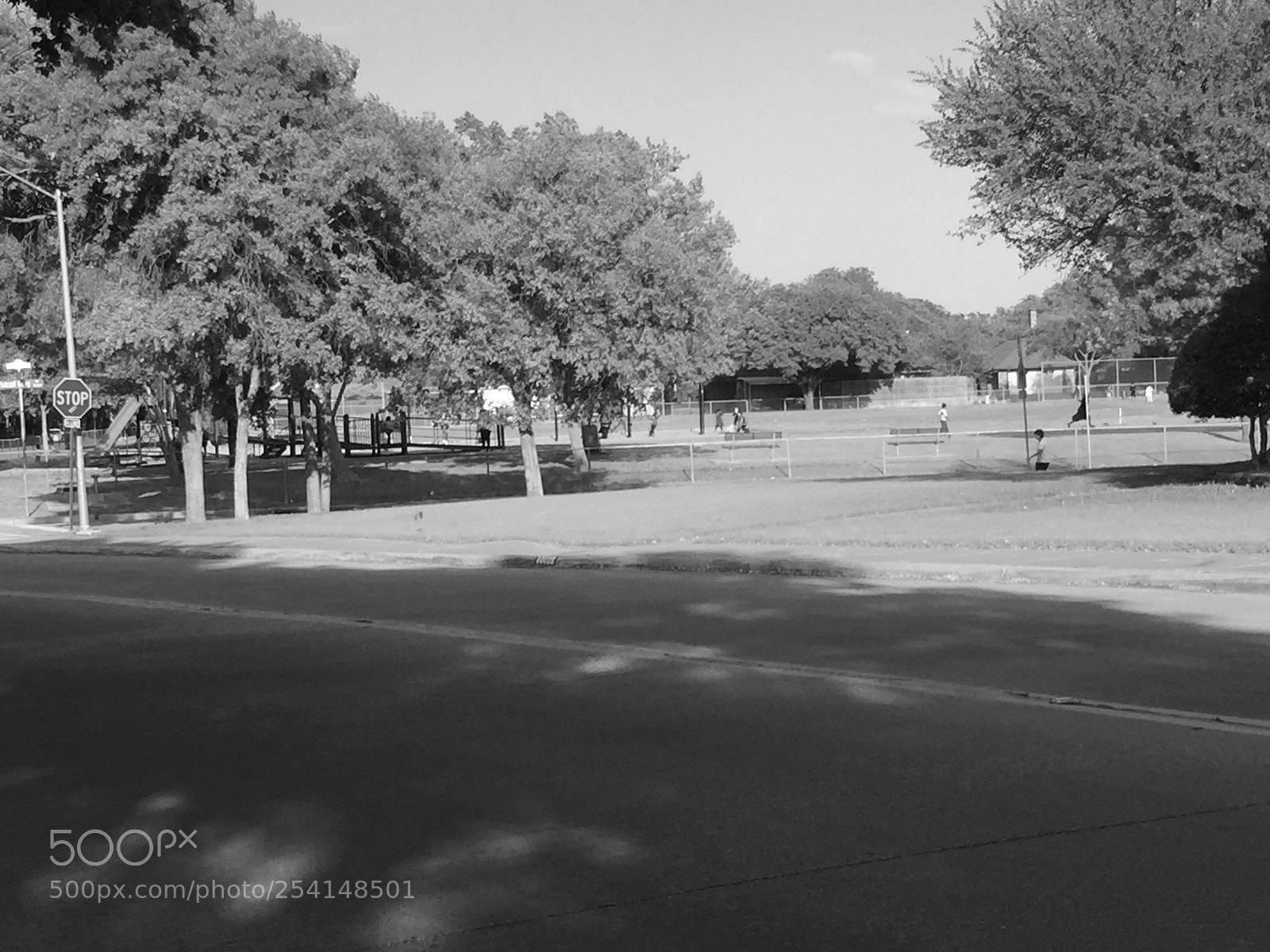 Apple iPhone 6 sample photo. Untitled photography