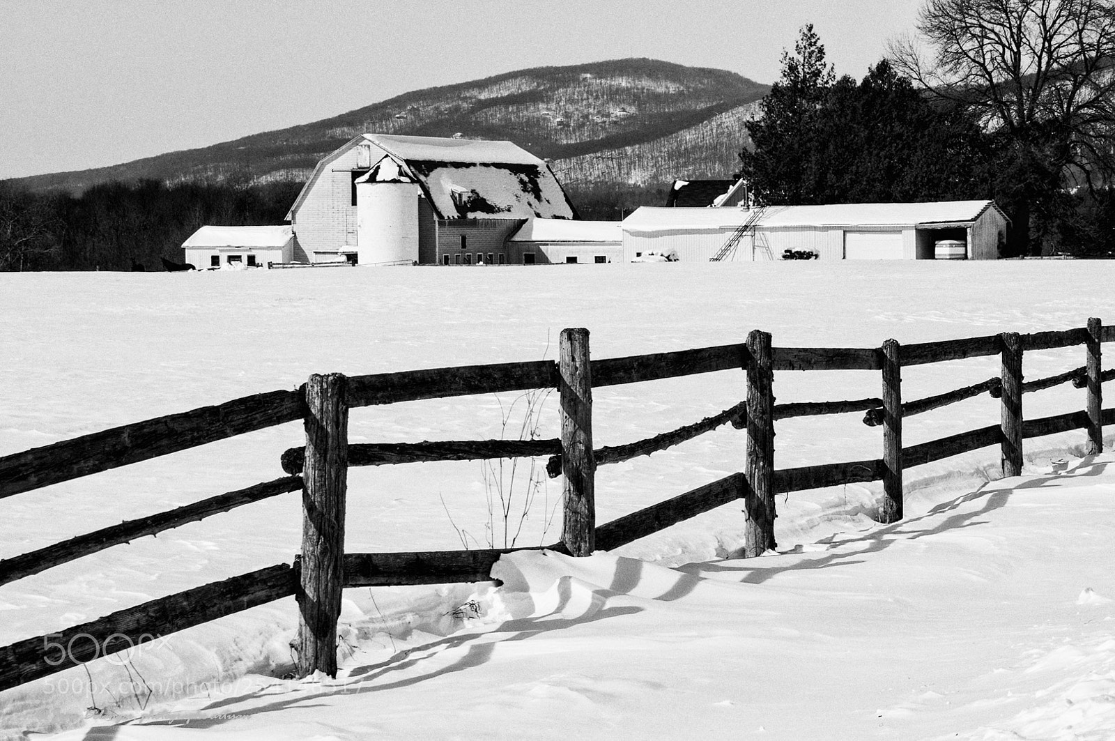 Nikon D5000 sample photo. Barn in b&w photography