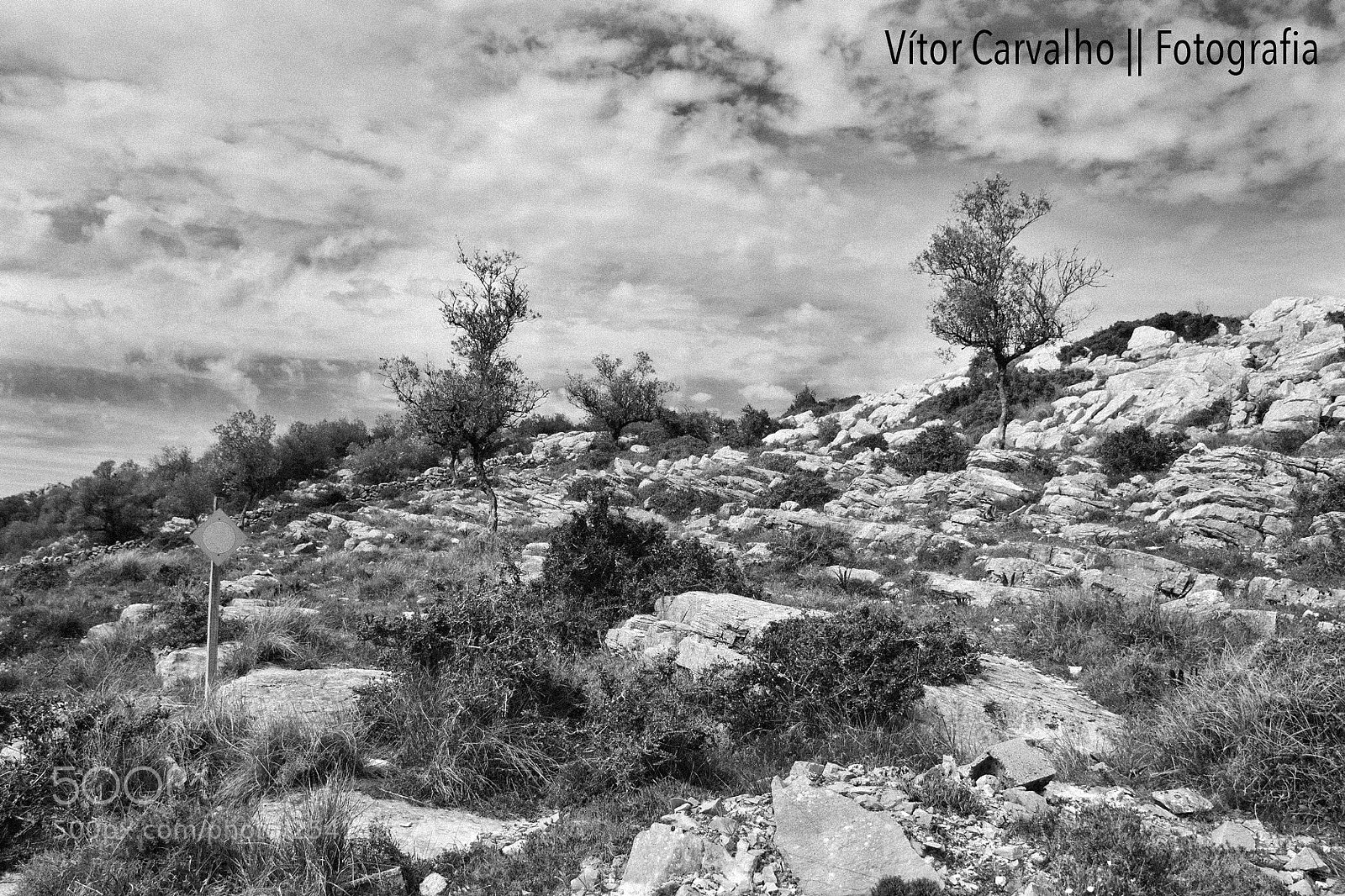 Nikon D2X sample photo. Serra photography
