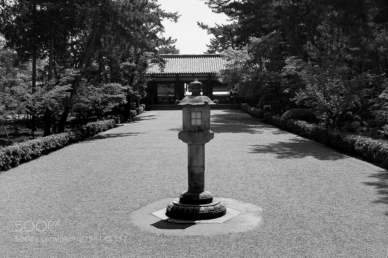 Sony Alpha NEX-6 sample photo. In nara photography