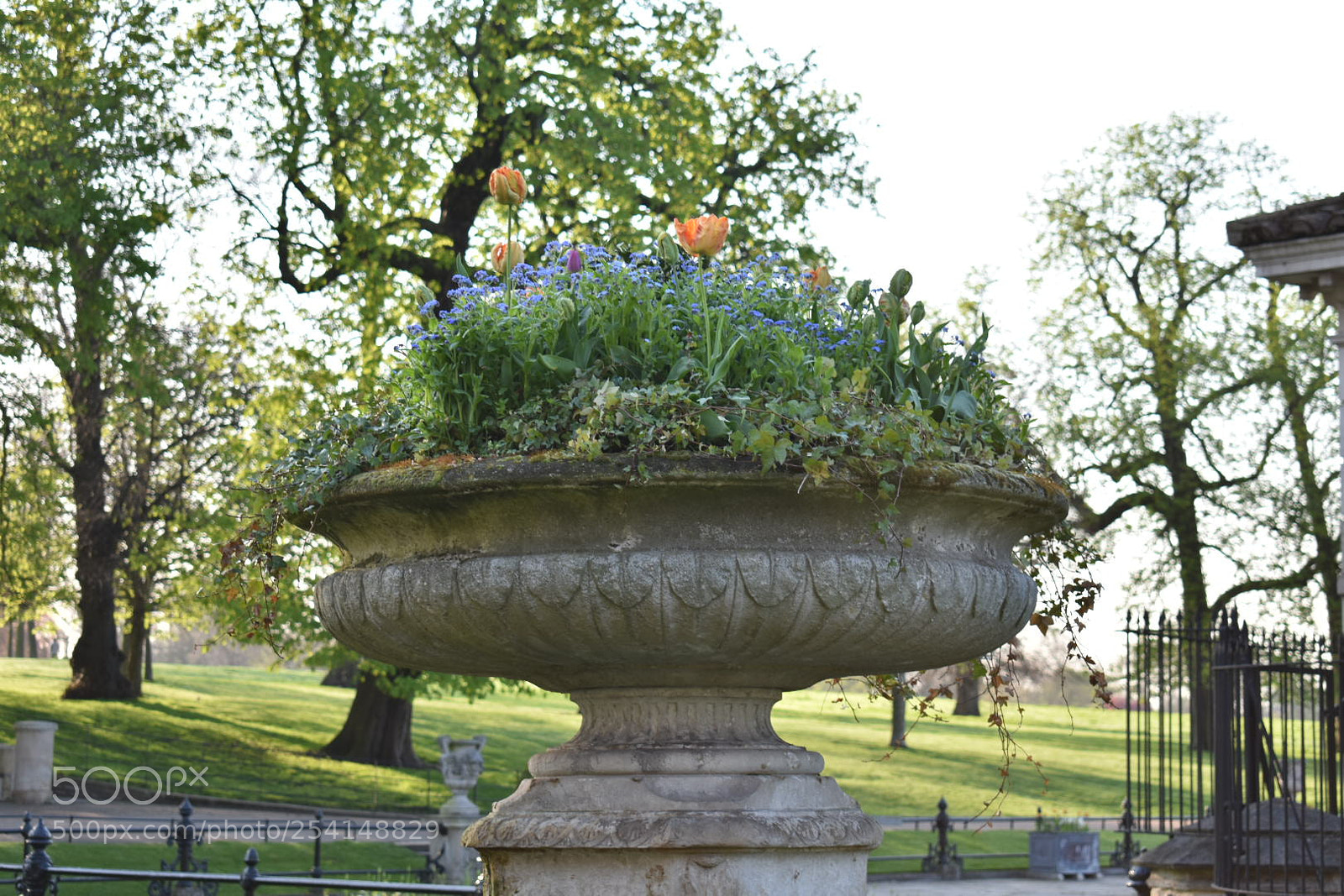 Nikon D3400 sample photo. Wednesday morning, hyde park photography