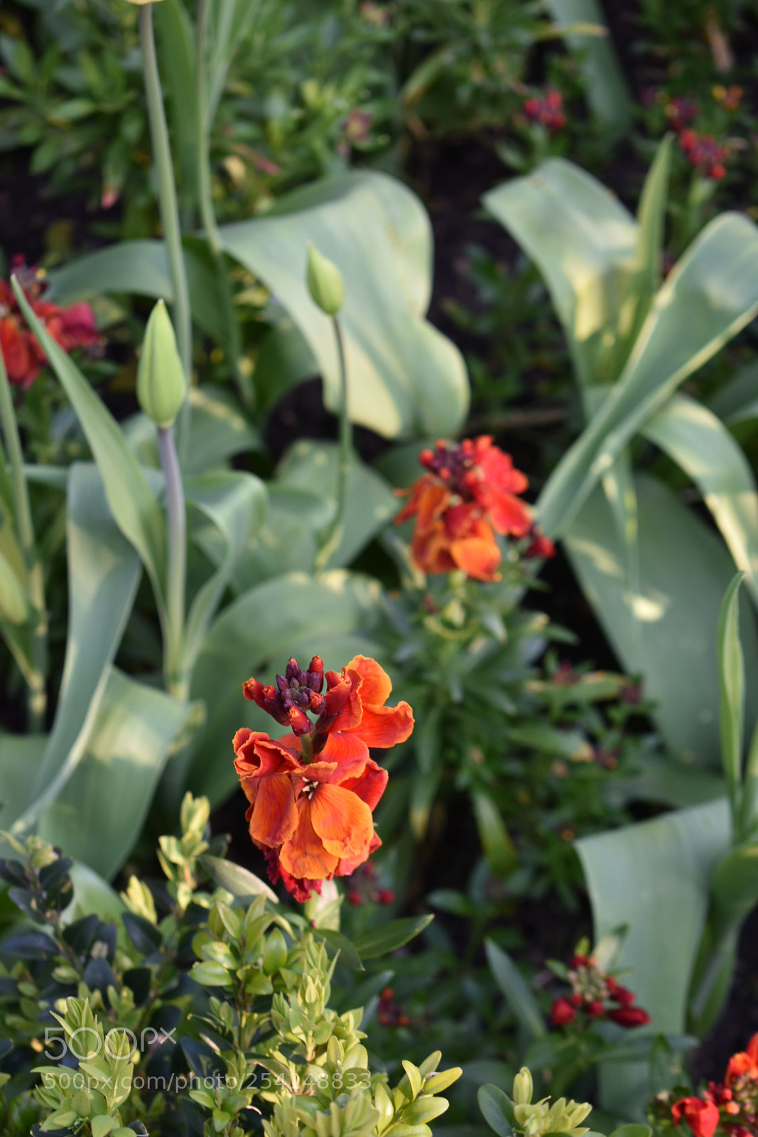 Nikon D3400 sample photo. Wednesday morning, hyde park photography