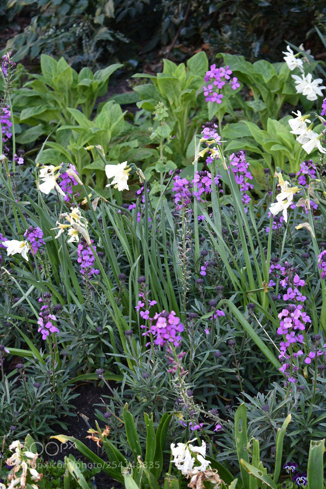 Nikon D3400 sample photo. Wednesday morning, hyde park photography