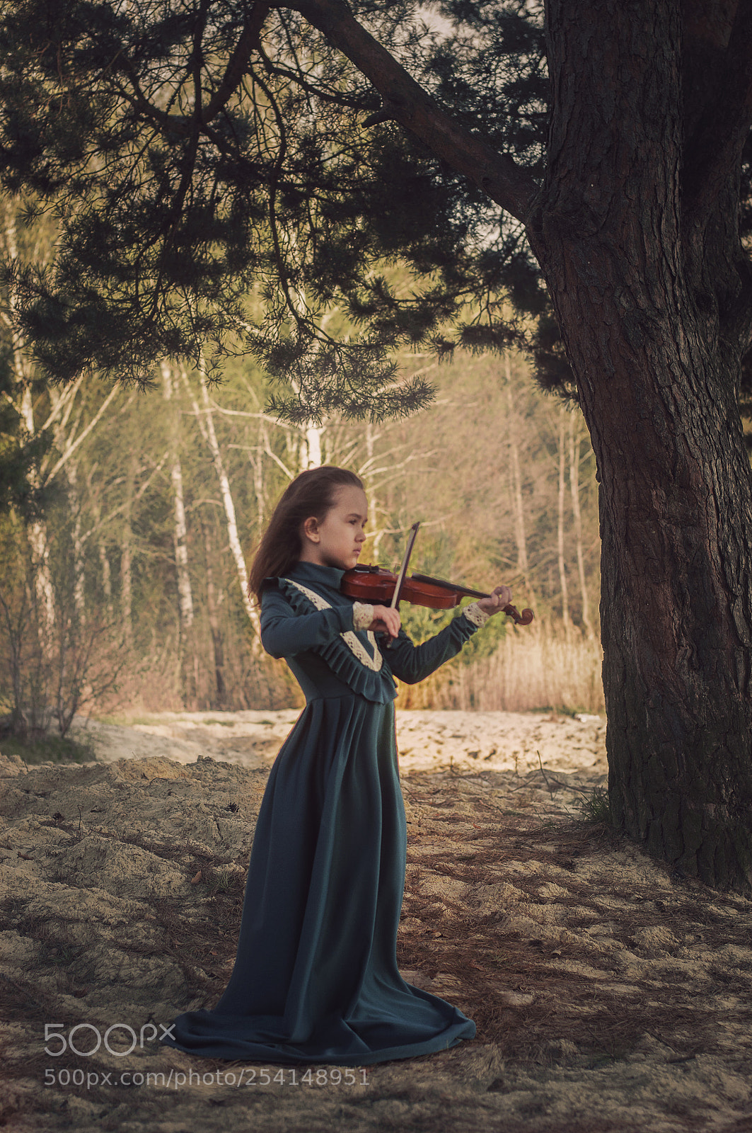 Nikon D90 sample photo. Play violin photography
