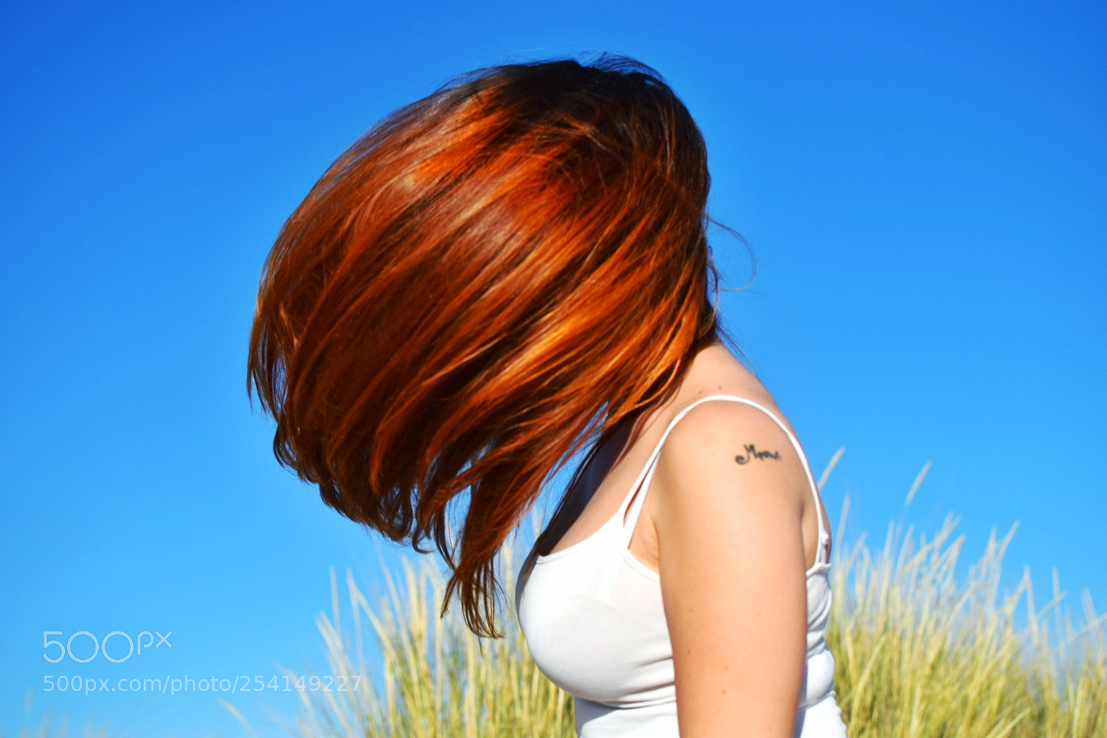 Nikon D5300 sample photo. Untitled photography