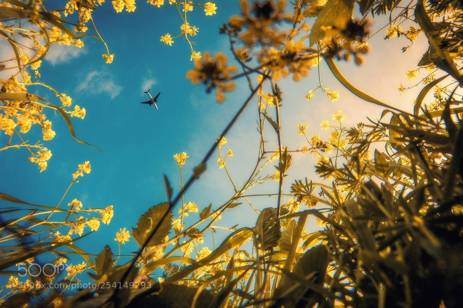 Nikon D7100 sample photo. Wanderers photography