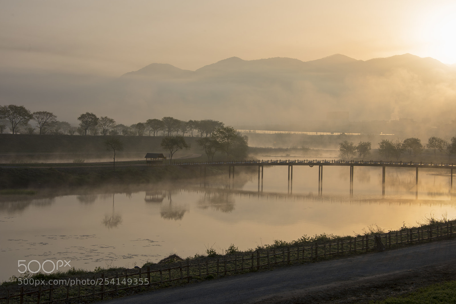 Nikon D810 sample photo. Sunrise over bridge photography