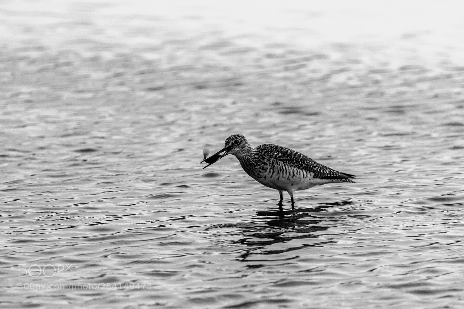 Canon EOS 1100D (EOS Rebel T3 / EOS Kiss X50) sample photo. Gone fishing photography