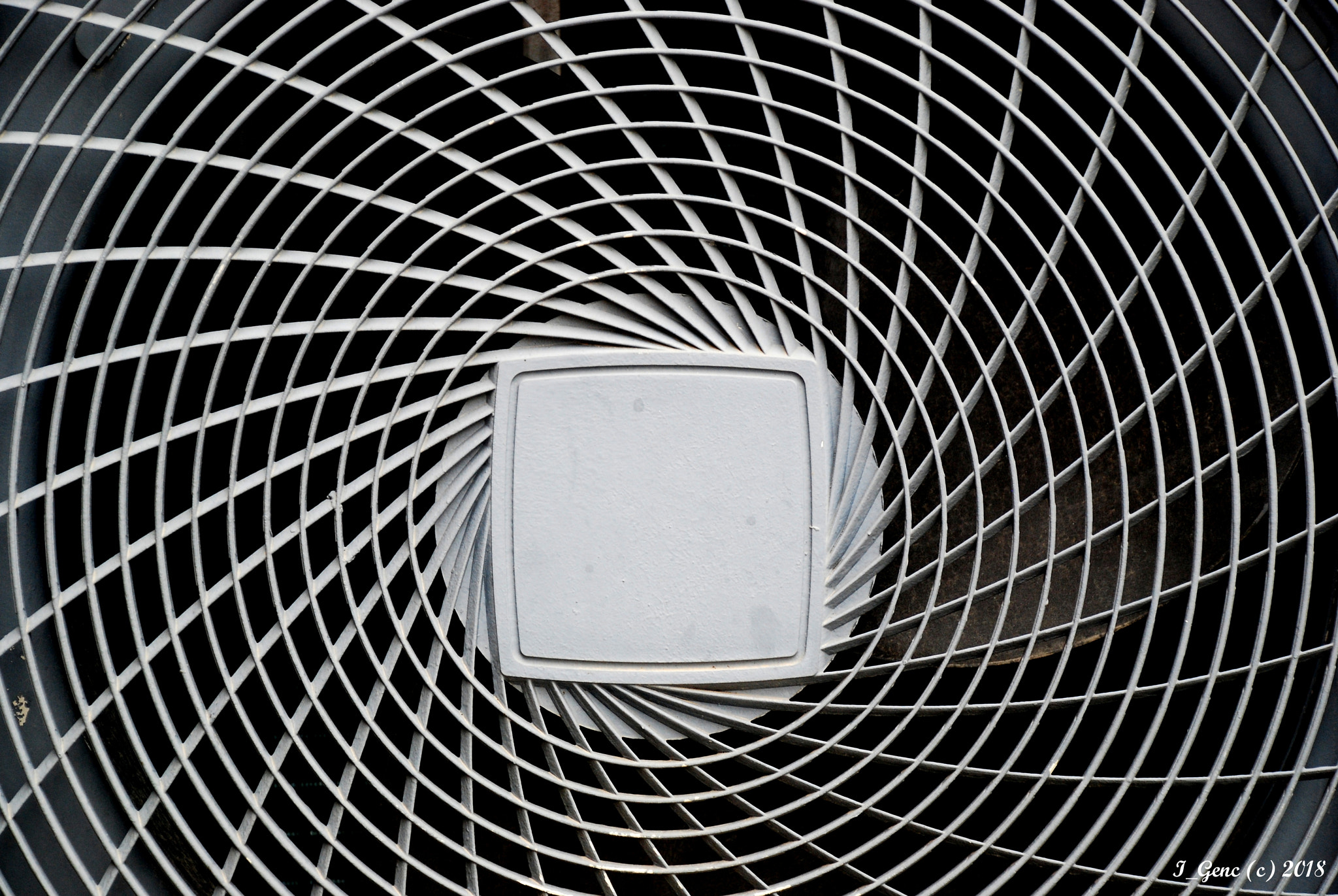 Nikon D80 sample photo. Egocentric photography