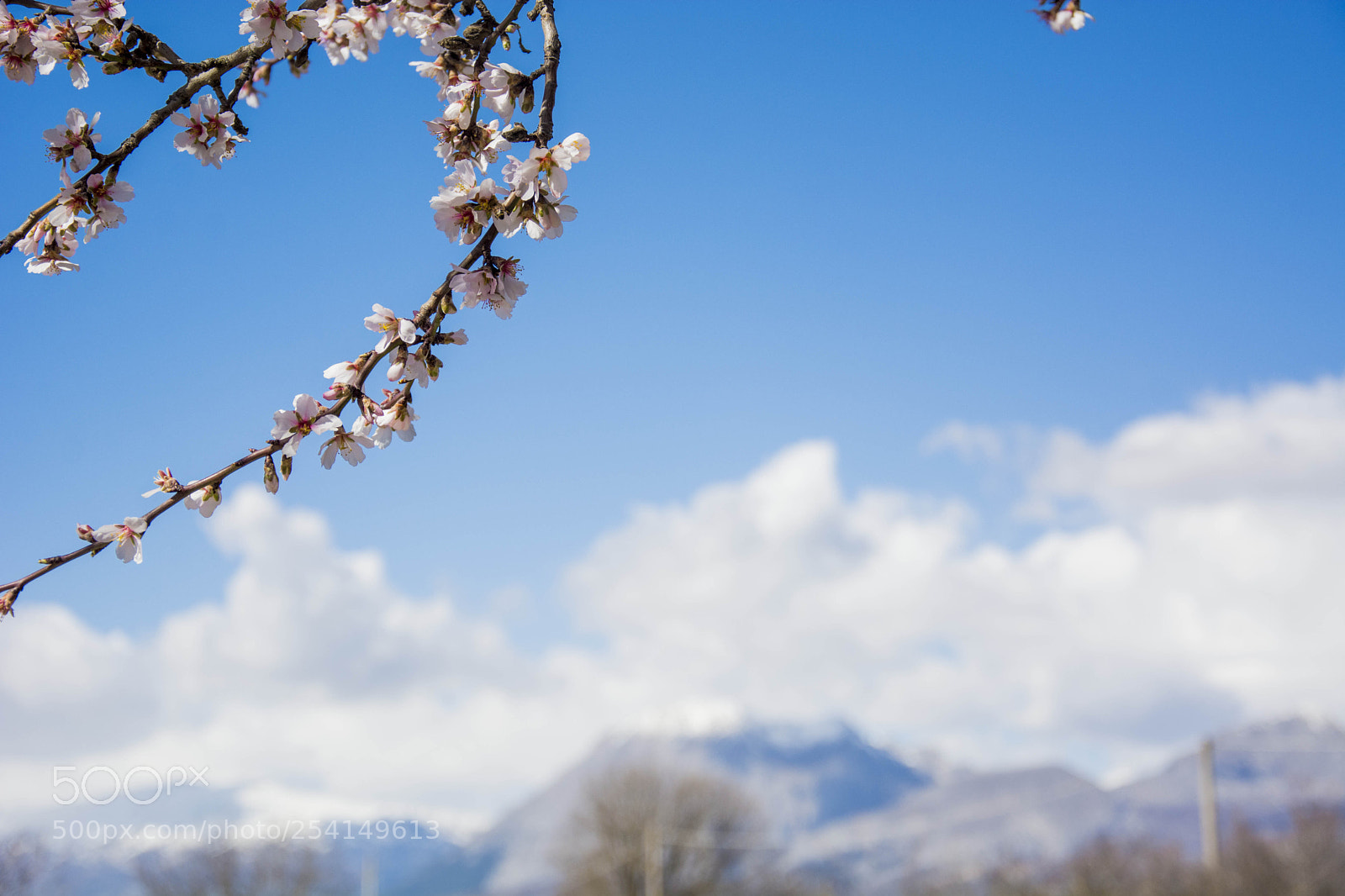 Nikon D7100 sample photo. Blue sky photography