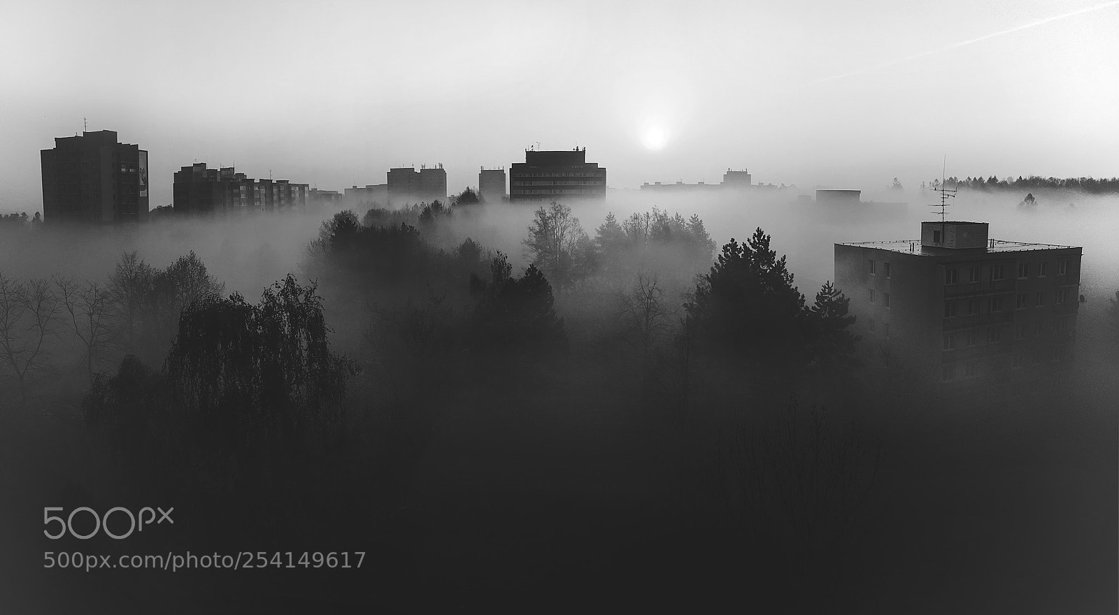 Apple iPhone 6s Plus sample photo. Foggy photography