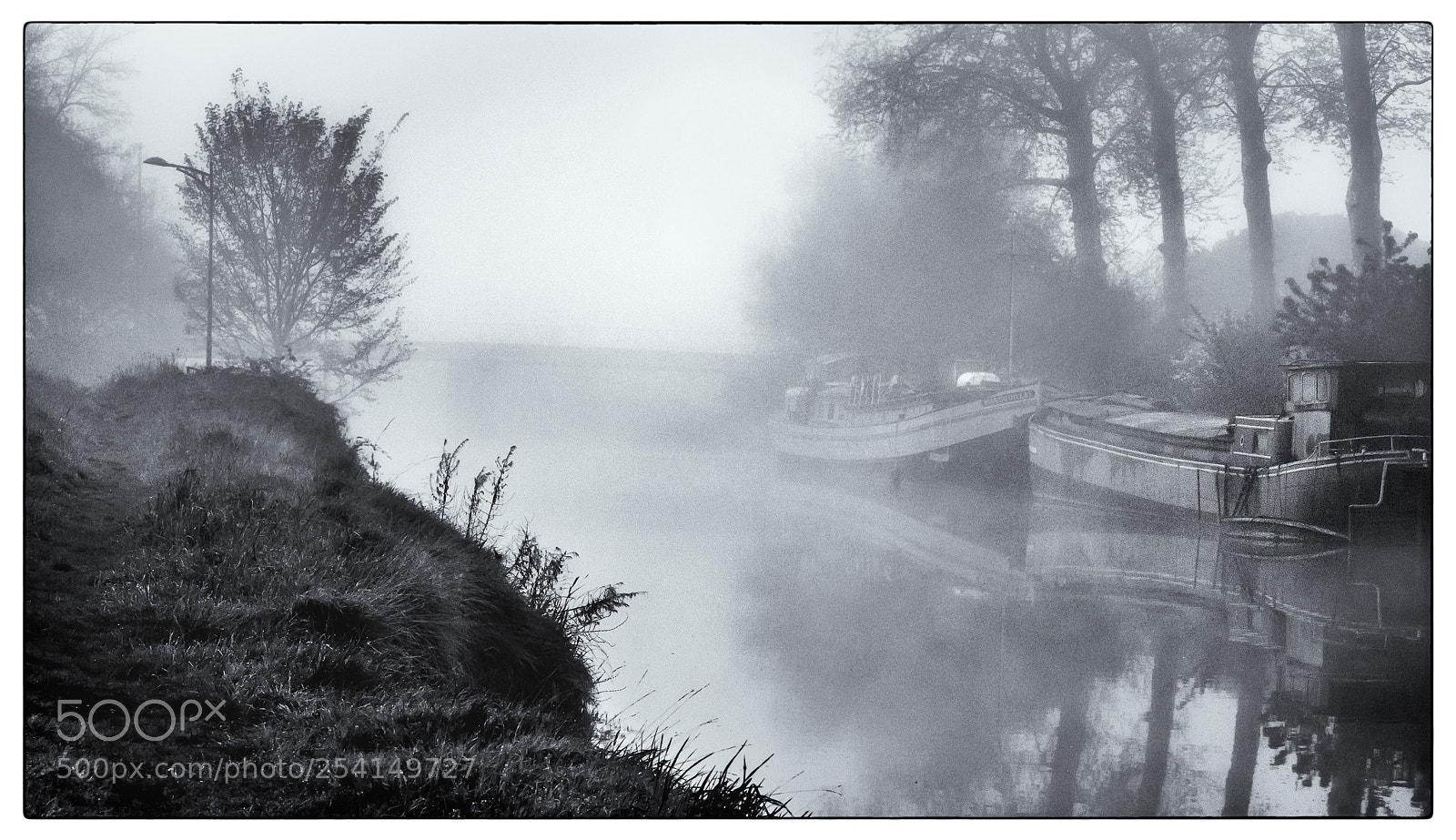 Nikon D7200 sample photo. Misty sunday. photography