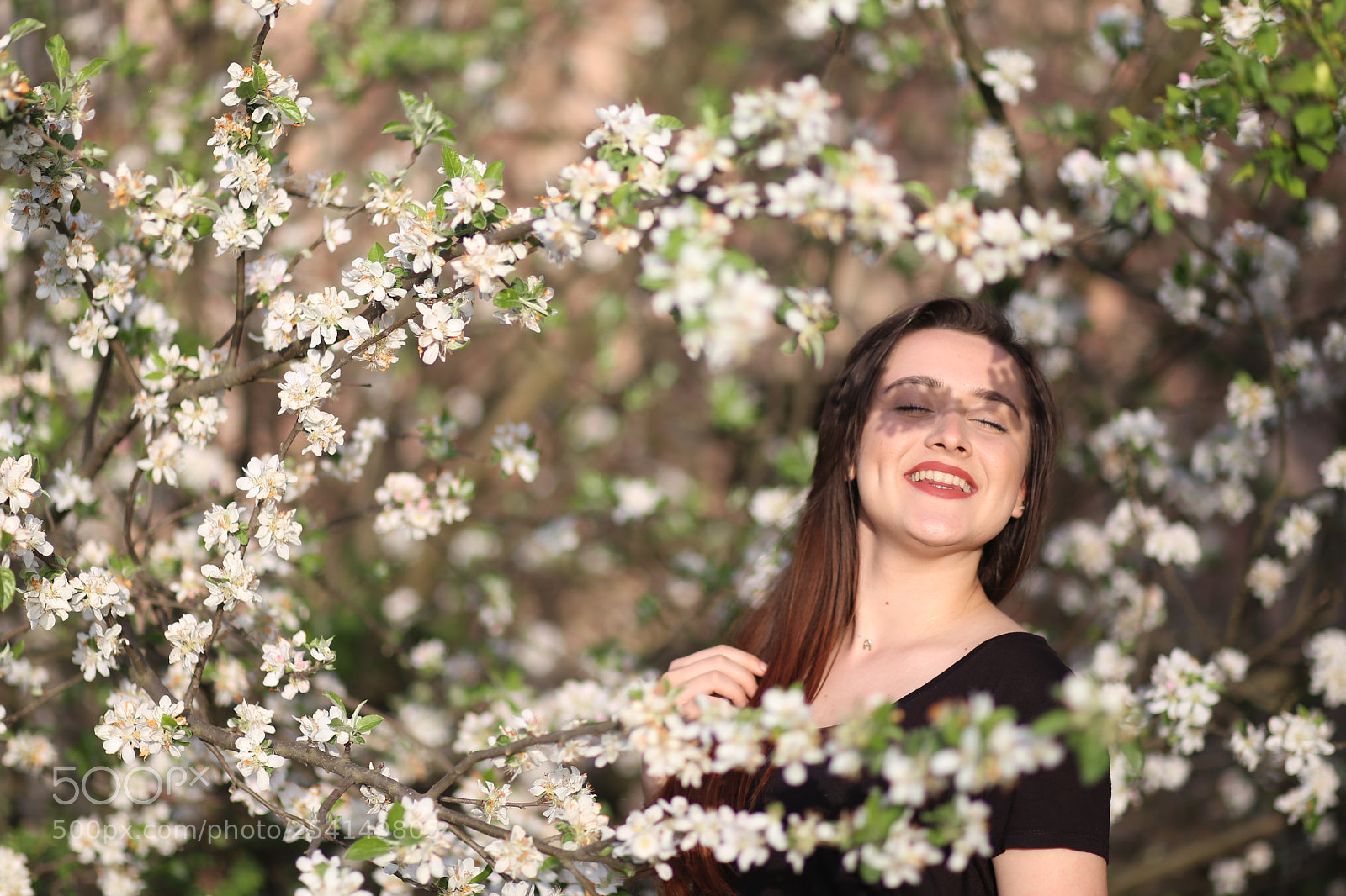 Canon EF 85mm F1.8 USM sample photo. Flowers photography