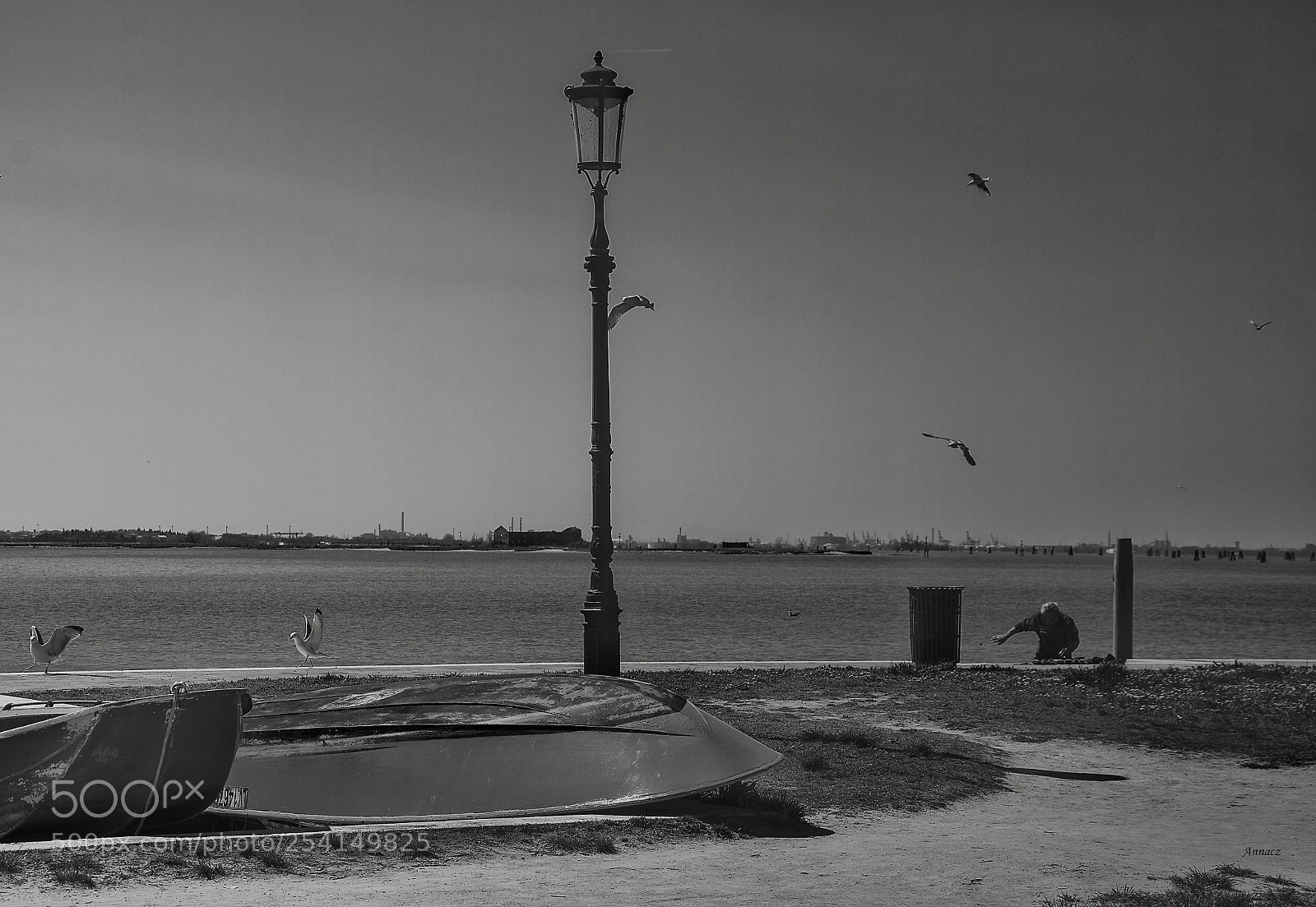 Nikon D5200 sample photo. The fisherman and seagulls  photography