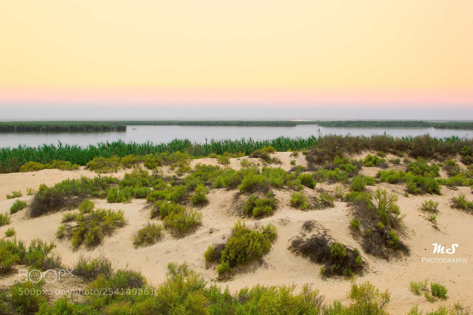 Nikon D3200 sample photo. Asfar lake.. photography