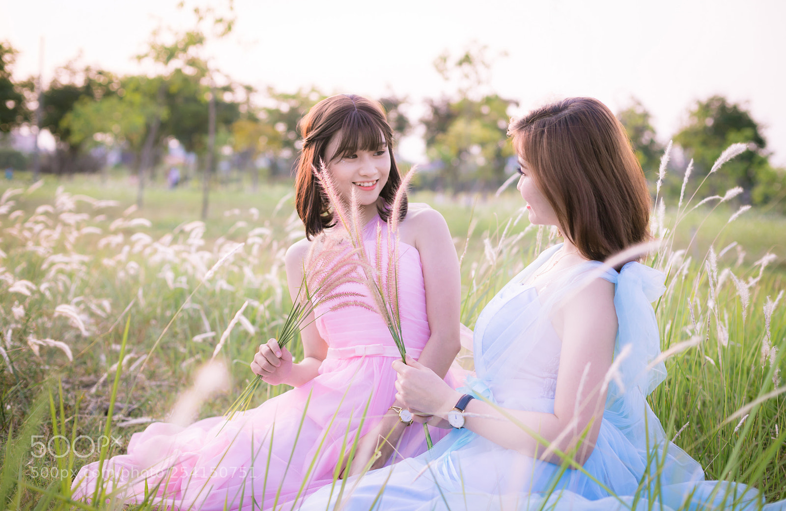 Canon EOS 6D Mark II sample photo. Dongdieu photography