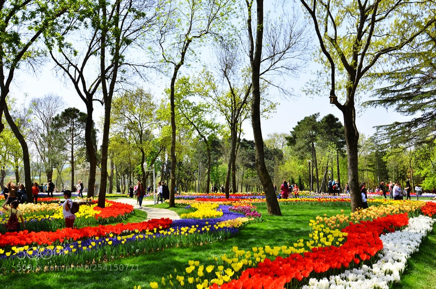 Nikon D7000 sample photo. Emirgan photography
