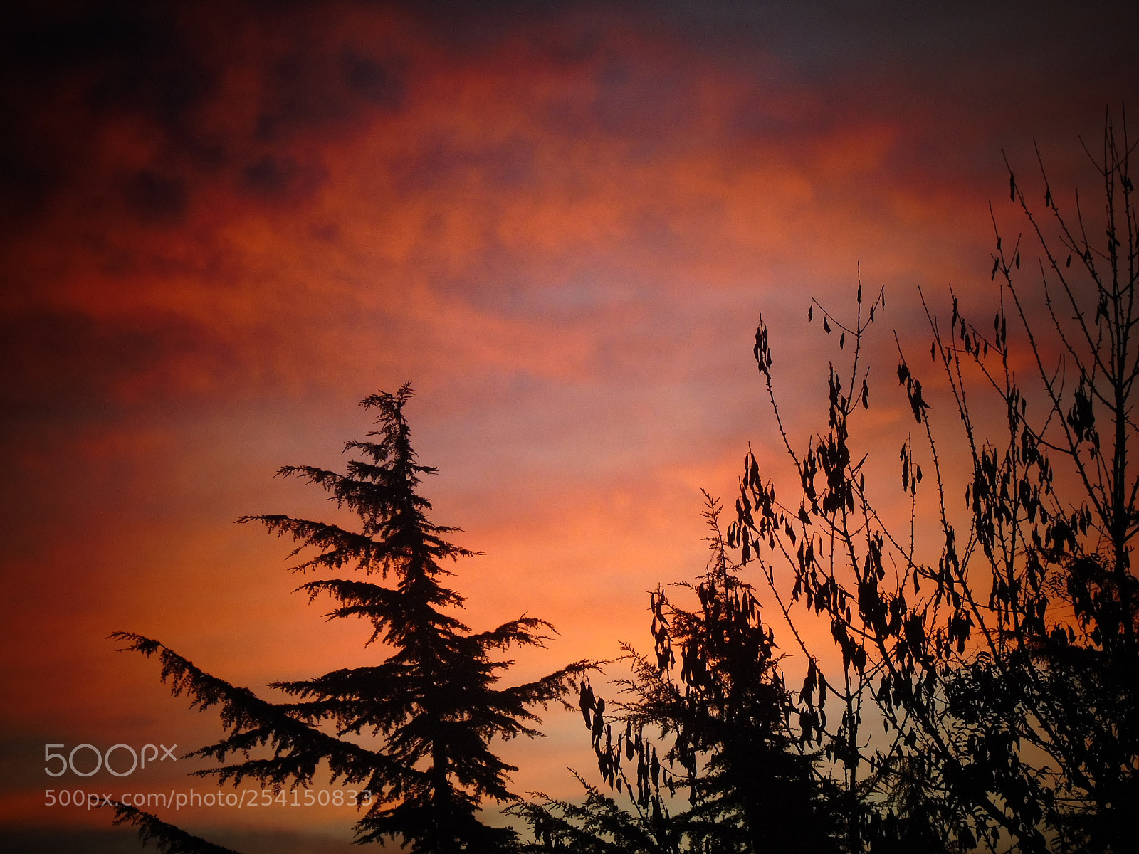 Sony Cyber-shot DSC-H400 sample photo. A colorful sky photography
