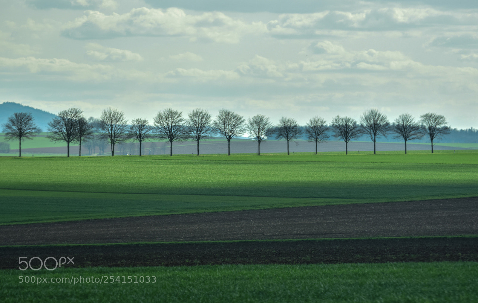 Nikon D3300 sample photo. Green photography