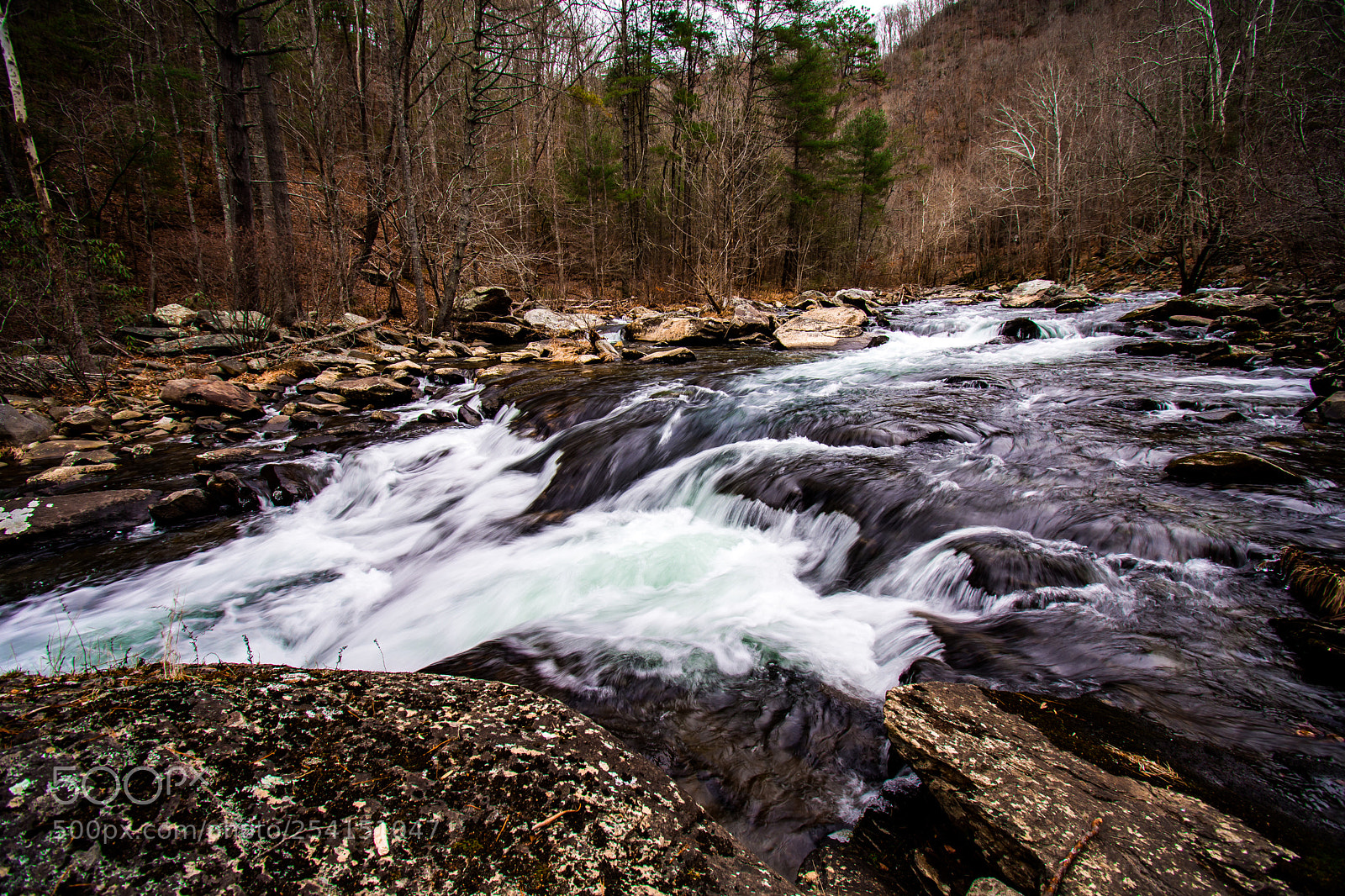 Nikon D7200 sample photo. Along the river photography