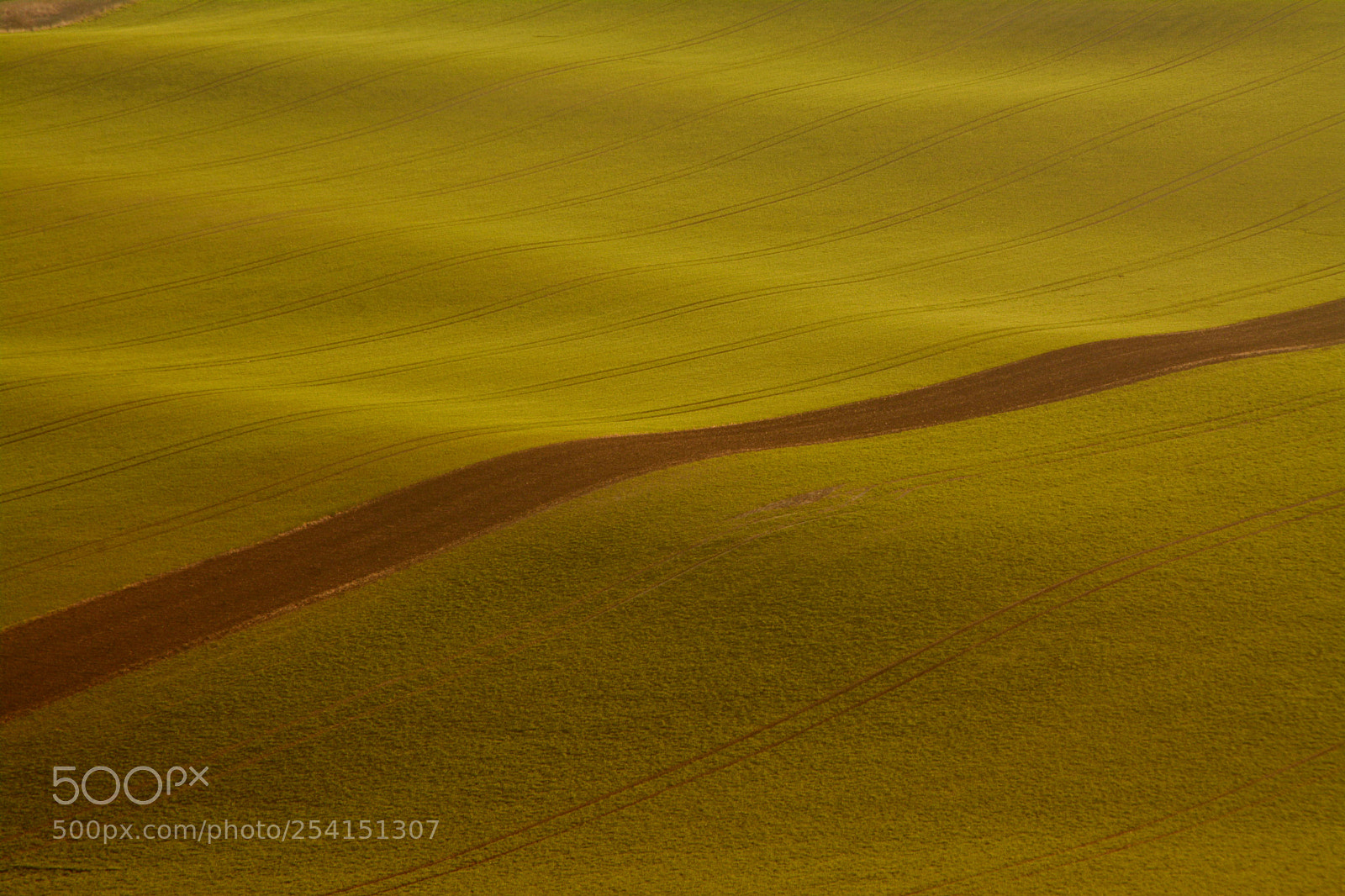Nikon D7100 sample photo. In the fields photography